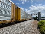 TTGX 709828
